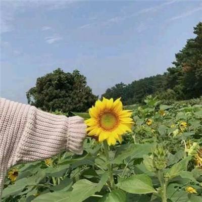 亿万人生极速版最新版下载